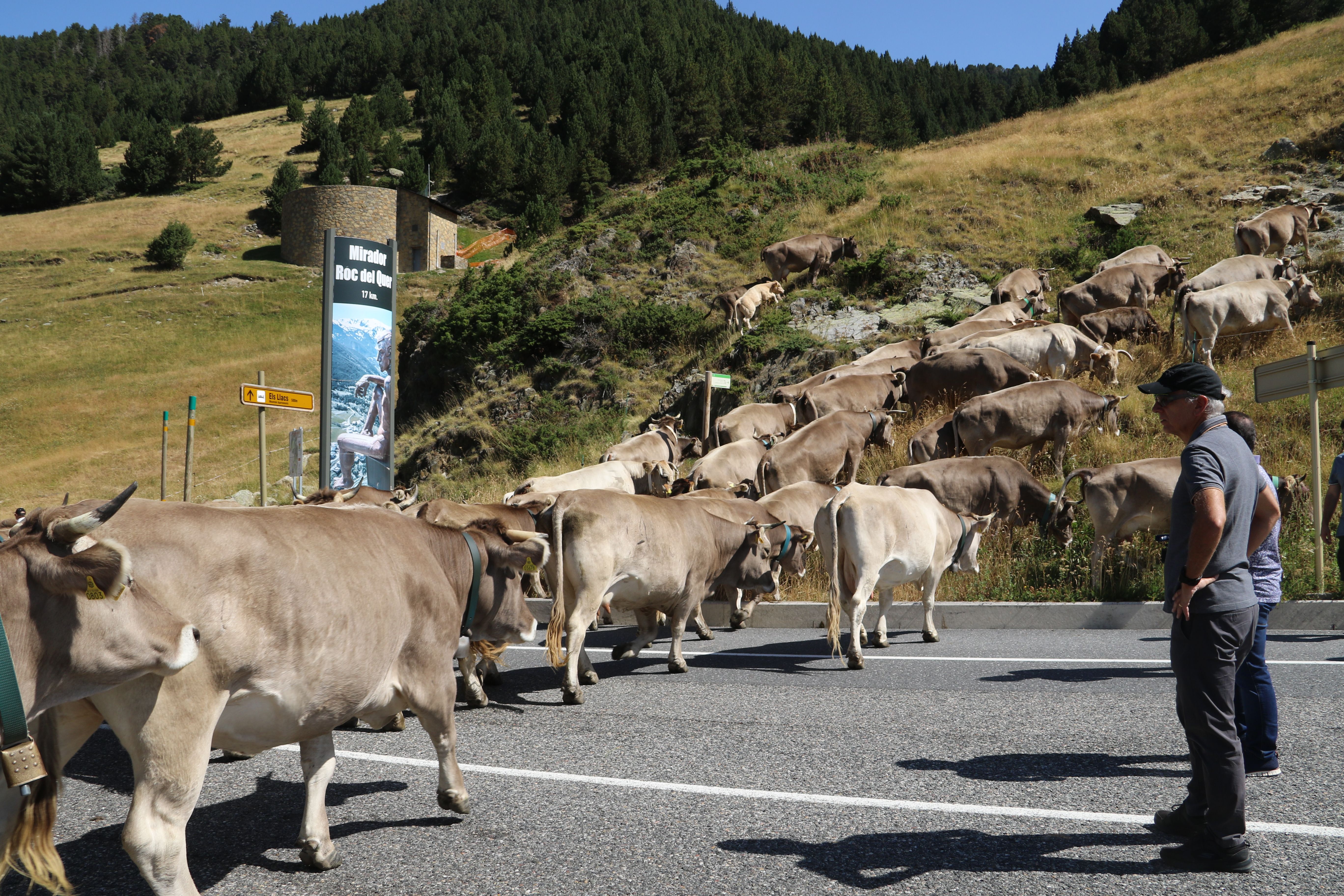 ramaders canillo