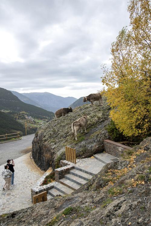 PONT TIBETÀ