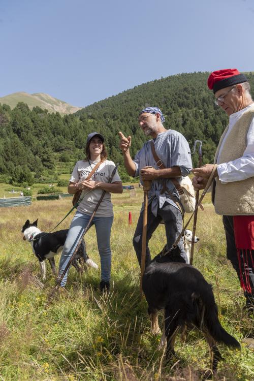 gossos d’atura de Canillo