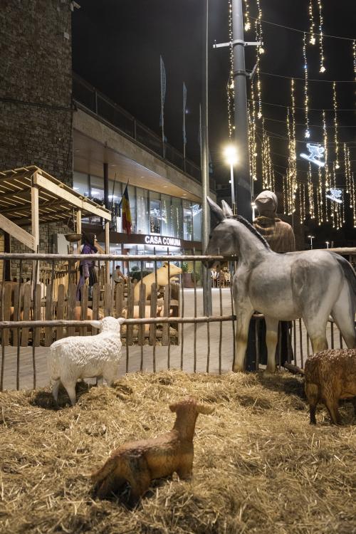 PESSEBRE CANILLO