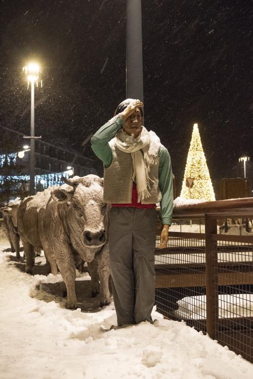 PESSEBRE CANILLO
