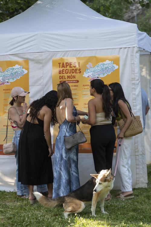 International Foodie Fest