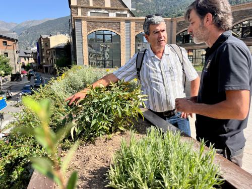 La Massana Viles Florides