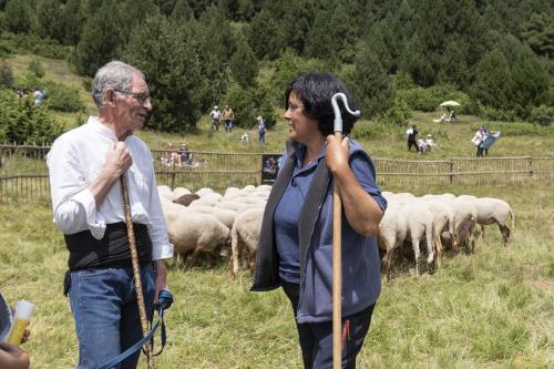 GOSSOS D'ATURA 2025