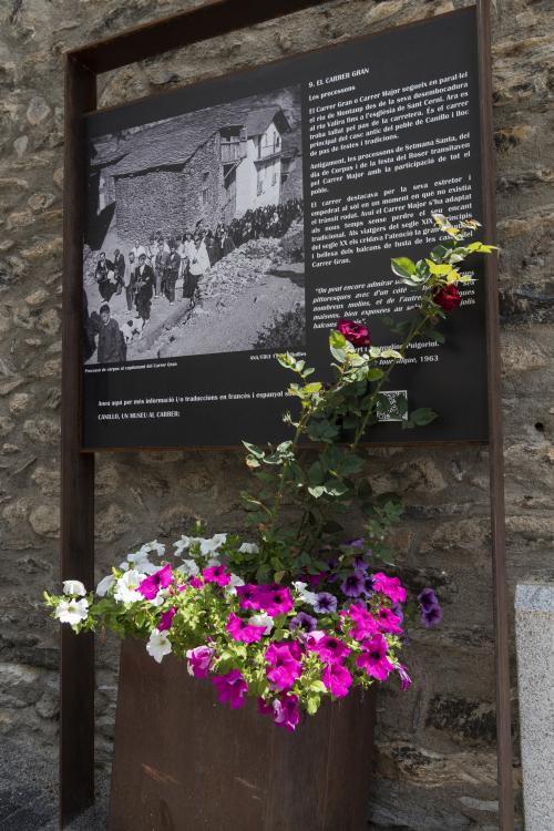 Viles Florides