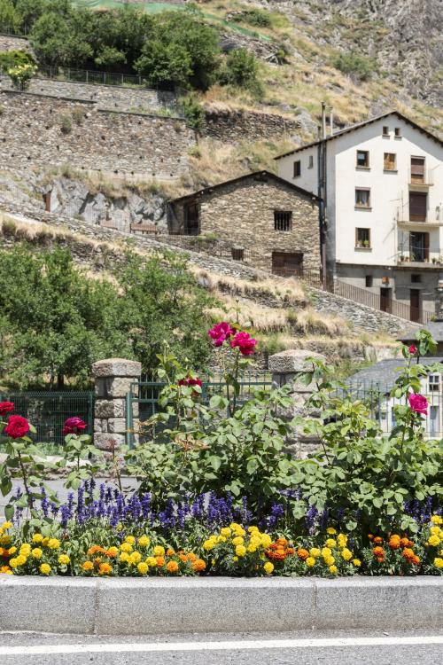 Viles Florides