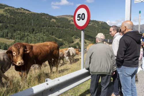 PAS DE LA VACADA