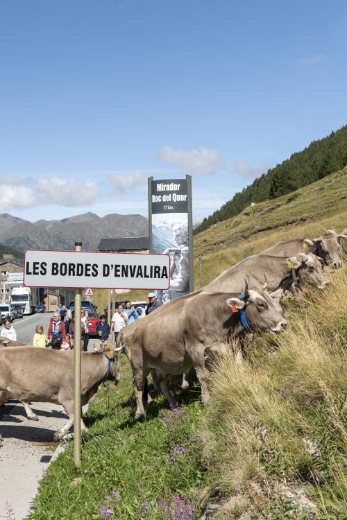 PAS DE LA VACADA