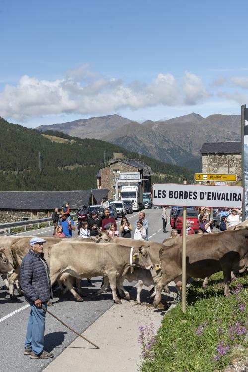 PAS DE LA VACADA