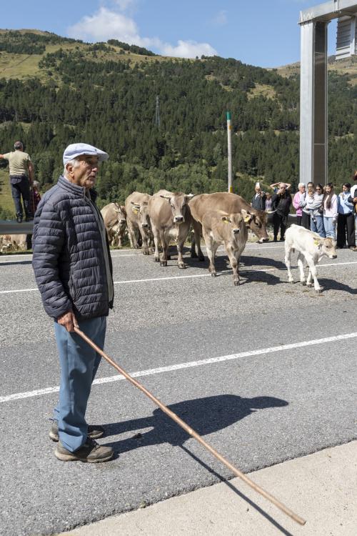 PAS DE LA VACADA