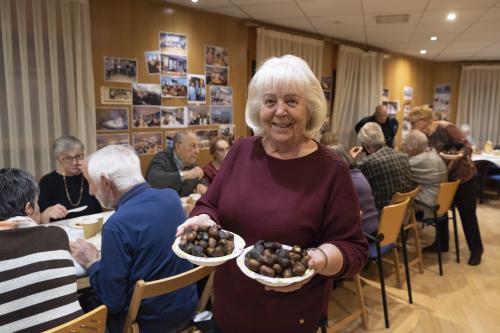 CASTANYADA GENT GRAN 