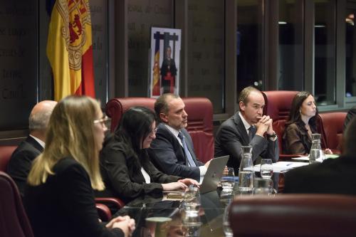 CONSELL DE COMÚ POUP