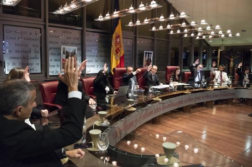 CONSELL DE COMÚ POUP