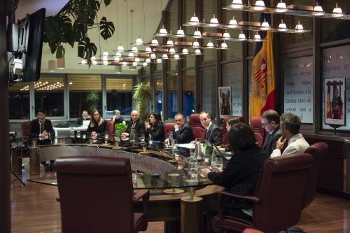 CONSELL DE COMÚ POUP