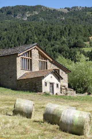 FM del Forn