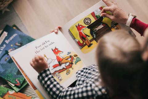 Contes de Hans Christian Andersen