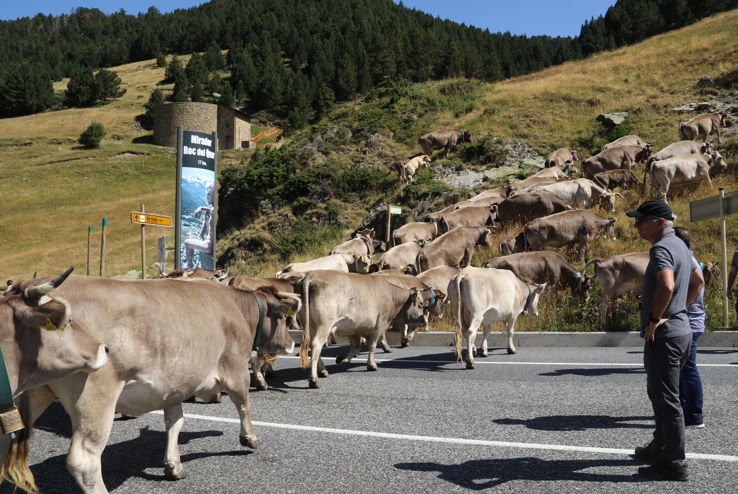 ramaders canillo